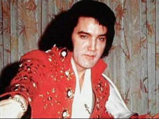 Elvis Costume Elvis Burning Love jumpsuit costume