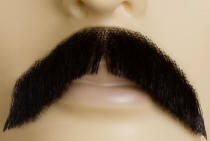 Walrus Moustache