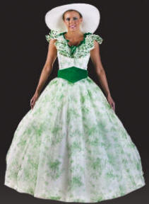 Scarlett O'Hara BBQ Dress Southern Belle Old South Costume