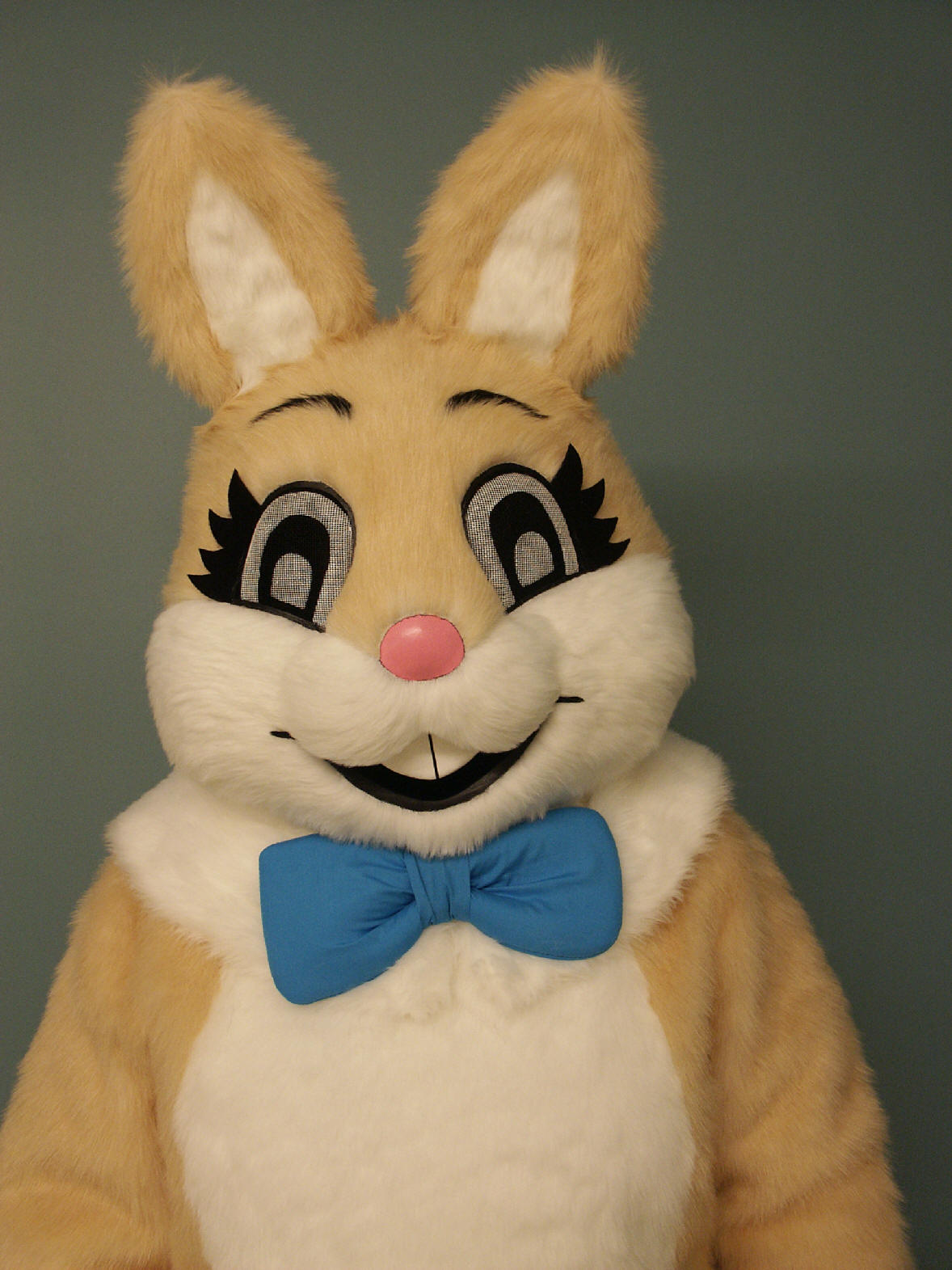Special Order Custom Made Easter Bunny Costume