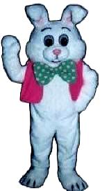 Easter Bunny Costume 