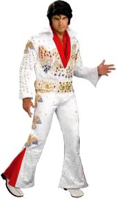 Collector Elvis Costume
