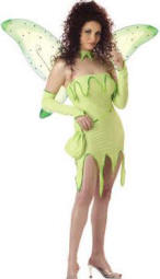 Halloween Fairy Costume - Emerald Fairy Costume 