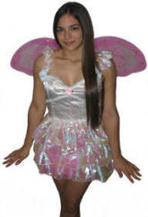 Adult Pixie Fairy Costume 