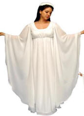 White Chiffon Angel Costume