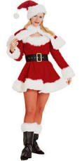 Sexy Miss Santa Costume