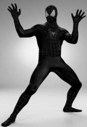 Deluxe Black Spiderman Costume