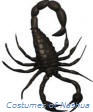 Black Scorpion 3" PVC