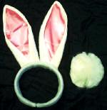 Bunny Ears & Tail 2 Piece Set