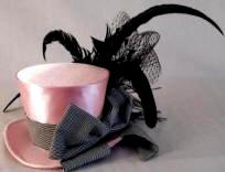 Burlesque Pink Top Hat with Black Feather