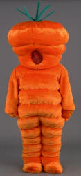 Carrot Mascot Costume