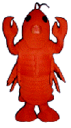 Lobster Costume Mascot
