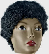 Short Afro Wig