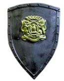 Medieval Shield Armor
