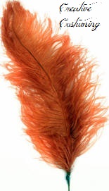 Rust Ostrich Feather Plume 30"