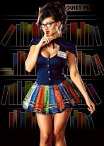Sexy Naughty Librarian Costume 