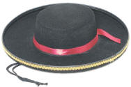 Felt Zorro Spanish Gaucho Hat with Gold Trim