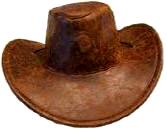 Cowboy Hat - Brown Pleather