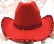 Cowboy Hat,Cowgirl,Riverboat Gambler,Civil War,Western,Zorro,Native ...